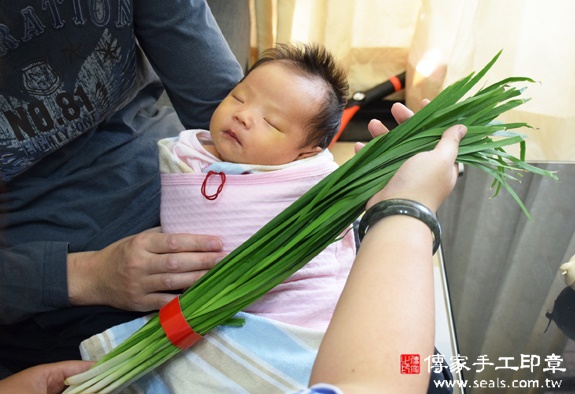 陳寶寶(台中西屯區到府嬰兒寶寶滿月剃頭理髮、免費到府嬰兒剃胎毛儀式吉祥話)。到府剃頭剃胎毛主持、專業拍照、DVD光碟、證書。★購買「臍帶章、肚臍章、胎毛筆刷印章」贈送：剃頭、收涎、抓周，三選一。2015.11.26 照片8
